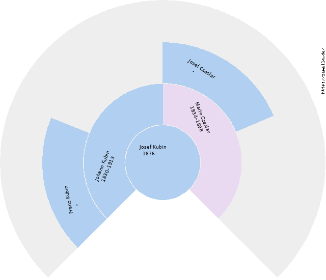 Fächerdiagramm von Josef Kubin
