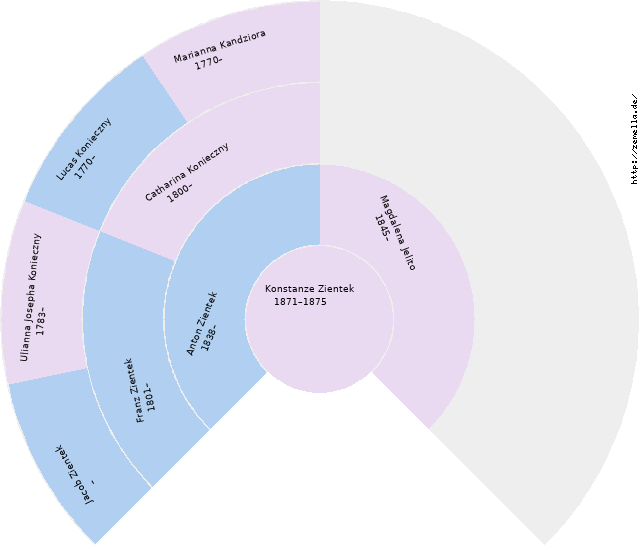 Fächerdiagramm von Konstanze Zientek
