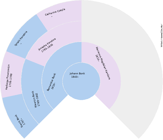 Fächerdiagramm von Johann Bonk