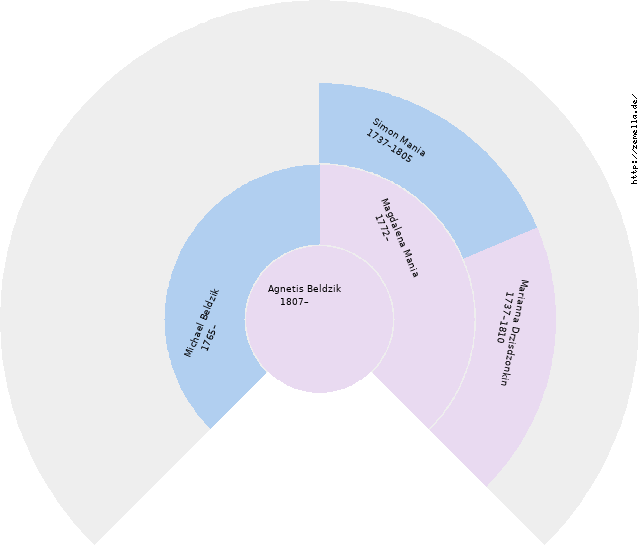 Fächerdiagramm von Agnetis Beldzik