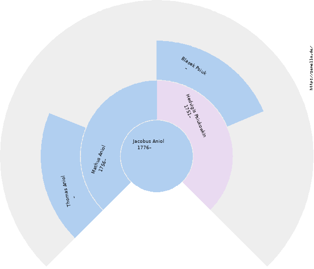 Fächerdiagramm von Jacobus Aniol