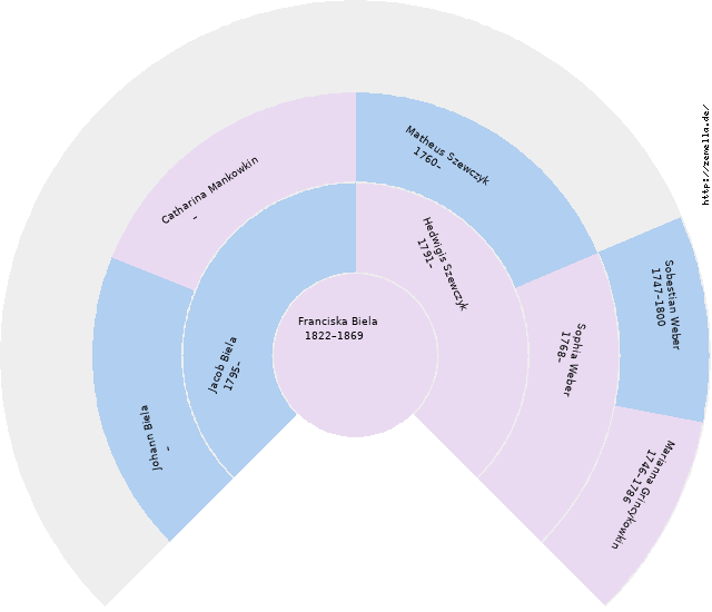 Fächerdiagramm von Franciska Biela