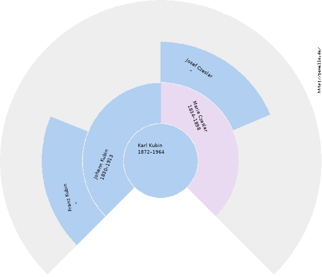 Fächerdiagramm von Karl Kubin