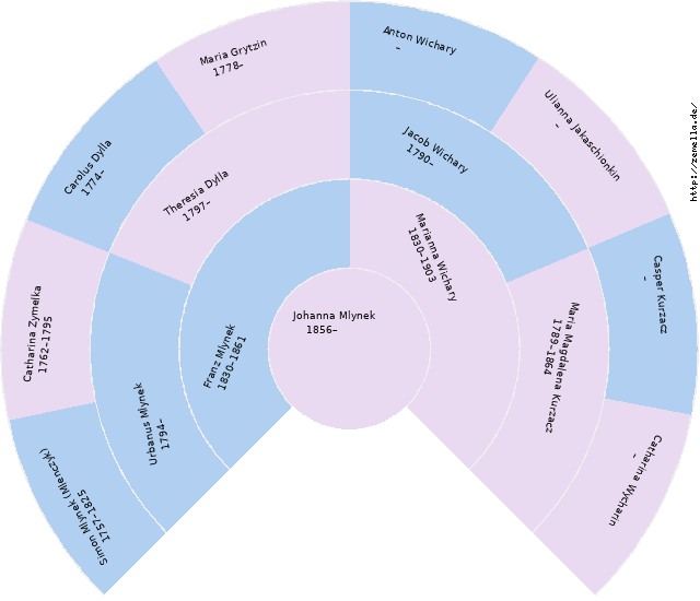 Fächerdiagramm von Johanna Mlynek
