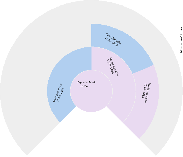 Fächerdiagramm von Agnetis Psiuk