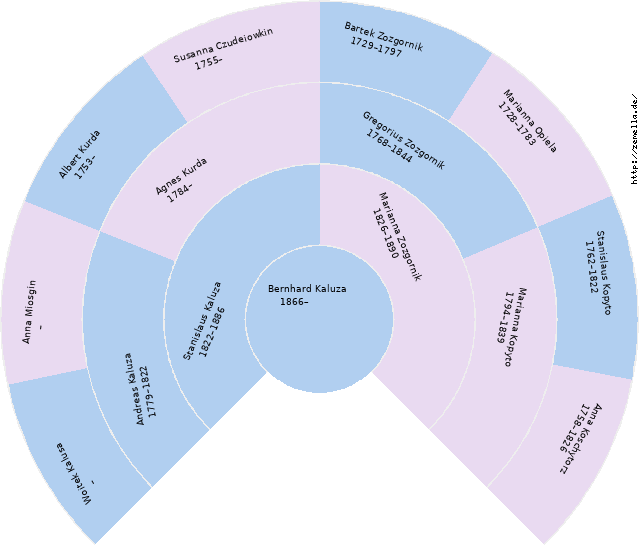 Fächerdiagramm von Bernhard Kaluza
