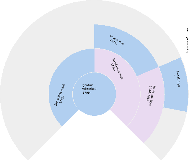 Fächerdiagramm von Ignatius Mikoschek