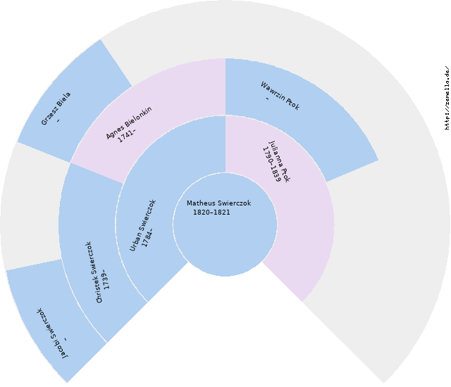 Fächerdiagramm von Matheus Swierczok