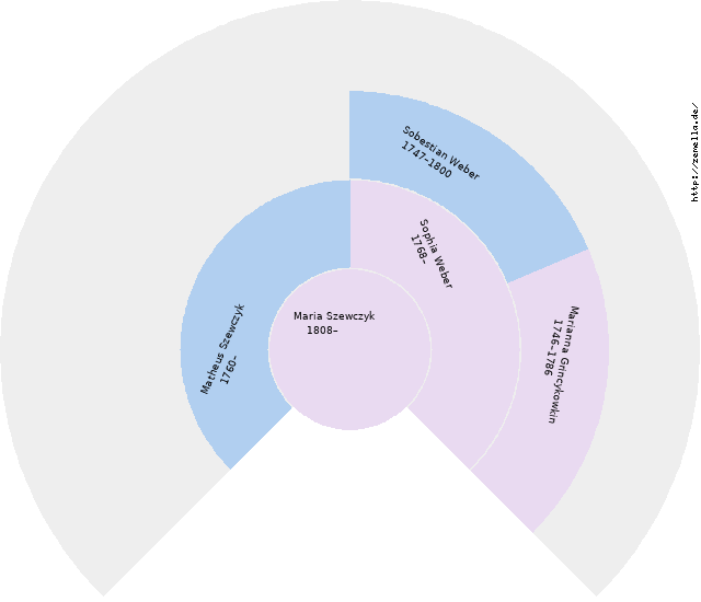 Fächerdiagramm von Maria Szewczyk