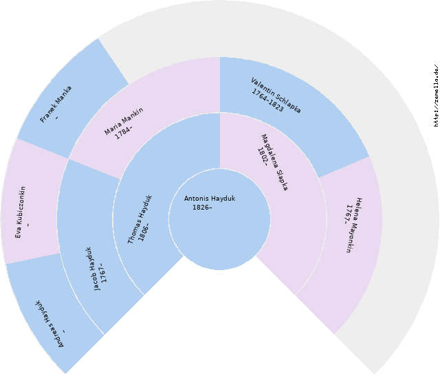 Fächerdiagramm von Antonis Hayduk