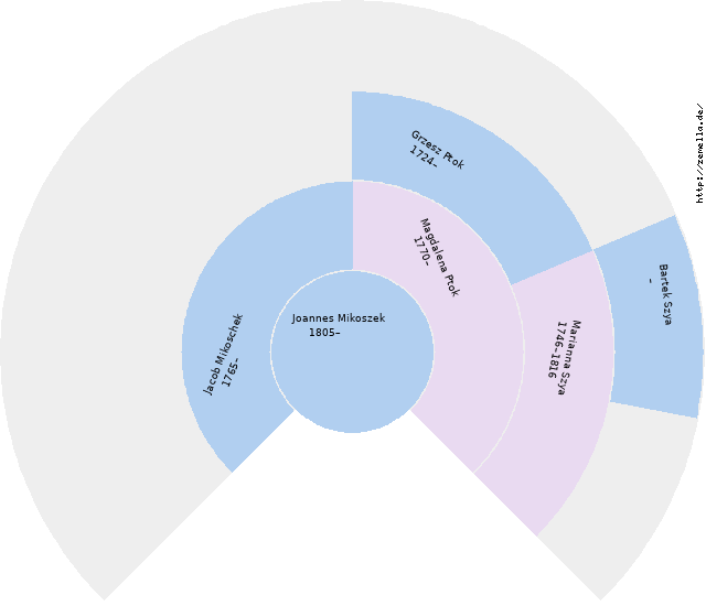Fächerdiagramm von Joannes Mikoszek