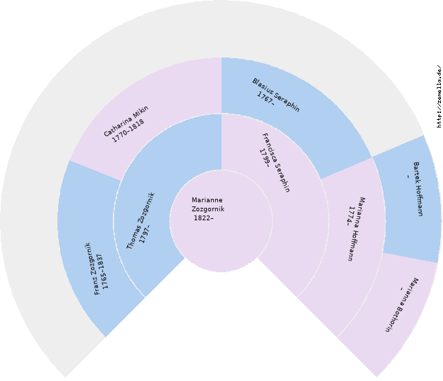 Fächerdiagramm von Marianne Zozgornik