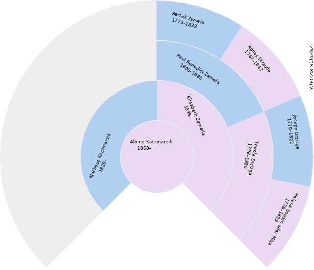 Fächerdiagramm von Albine Katzmarzik