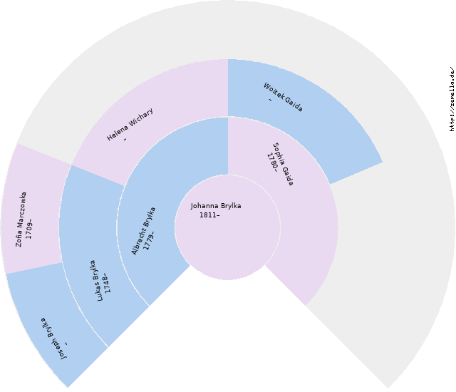 Fächerdiagramm von Johanna Brylka