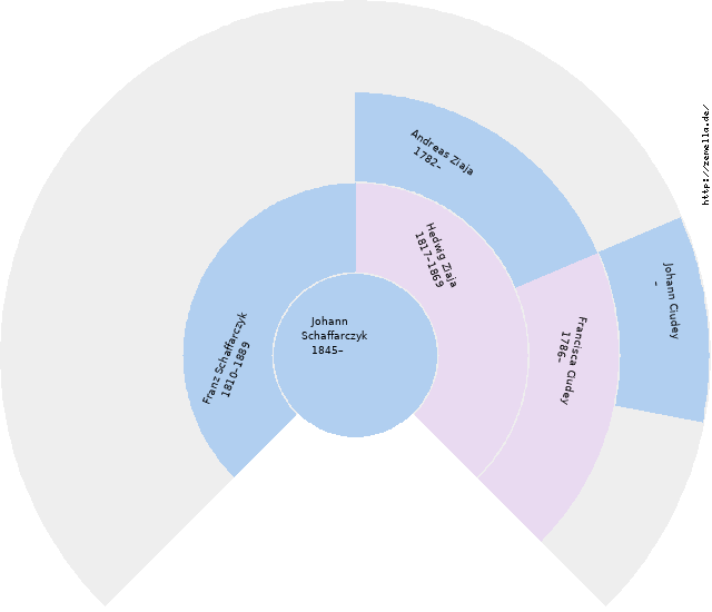 Fächerdiagramm von Johann Schaffarczyk