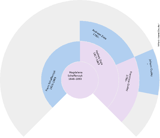 Fächerdiagramm von Magdalena Schaffarczyk