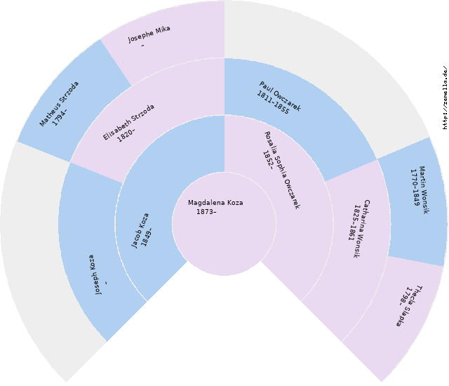 Fächerdiagramm von Magdalena Koza