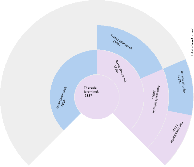Fächerdiagramm von Theresia Jerominek