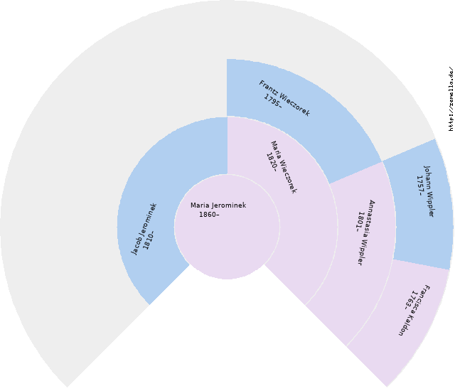 Fächerdiagramm von Maria Jerominek
