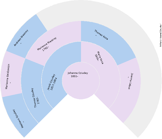 Fächerdiagramm von Johanna Cziudey
