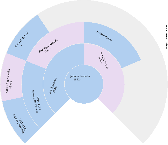 Fächerdiagramm von Johann Zemella