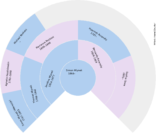 Fächerdiagramm von Simon Mlynek