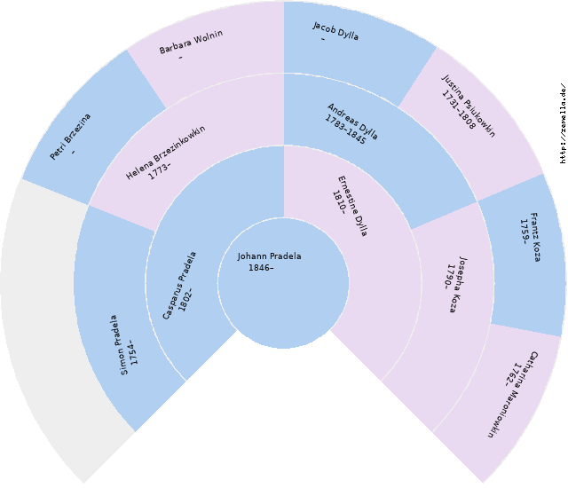 Fächerdiagramm von Johann Pradela