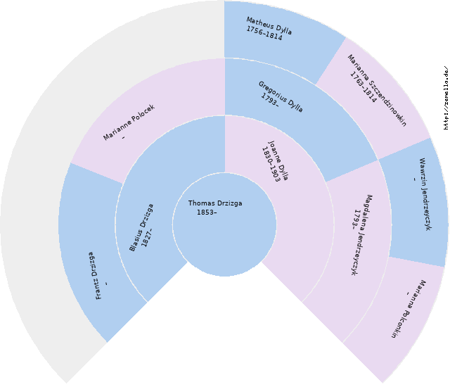Fächerdiagramm von Thomas Drzizga