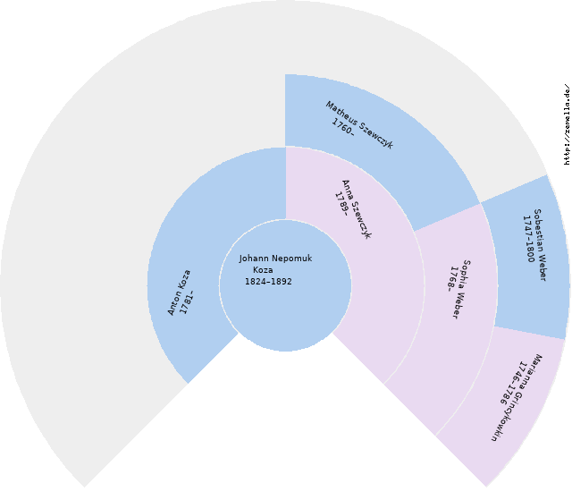 Fächerdiagramm von Johann Nepomuk Koza
