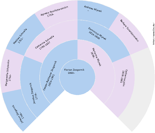 Fächerdiagramm von Florian Zosgornik
