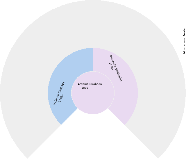 Fächerdiagramm von Antonia Swoboda