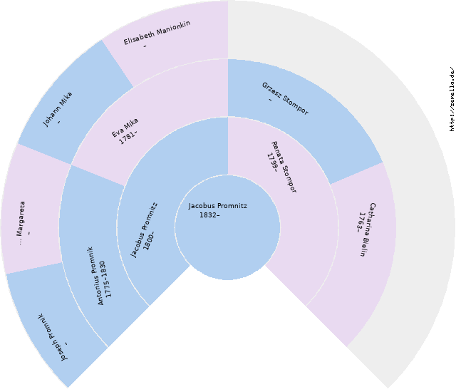 Fächerdiagramm von Jacobus Promnitz