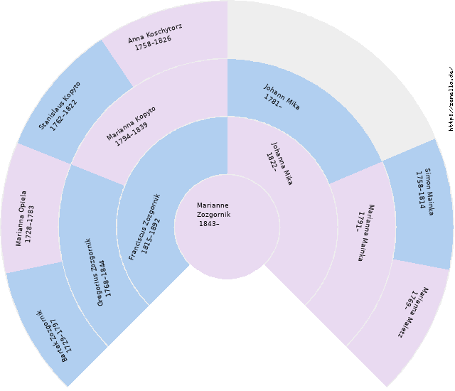 Fächerdiagramm von Marianne Zozgornik