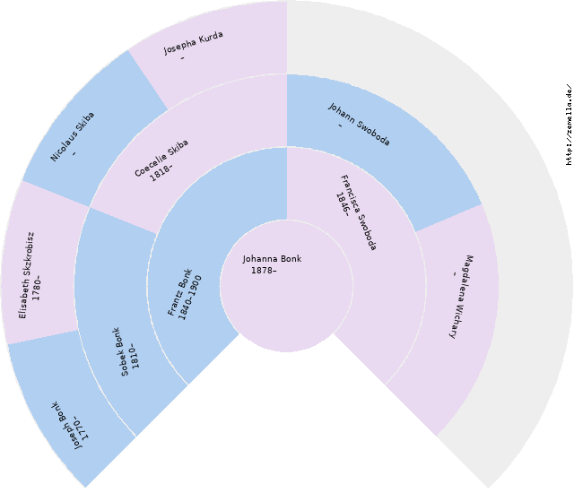 Fächerdiagramm von Johanna Bonk