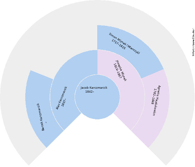 Fächerdiagramm von Jacob Karczmarzik